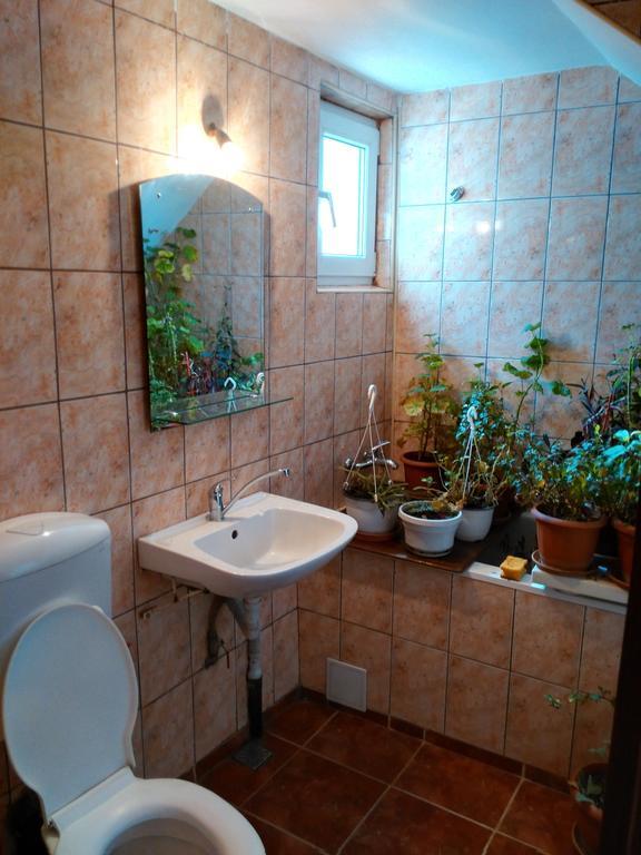 Vila Marcela Buşteni Chambre photo
