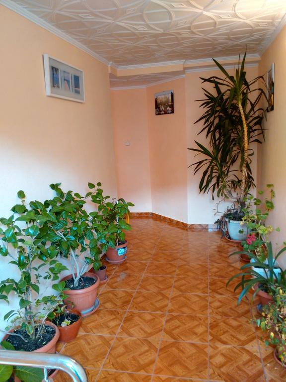 Vila Marcela Buşteni Chambre photo