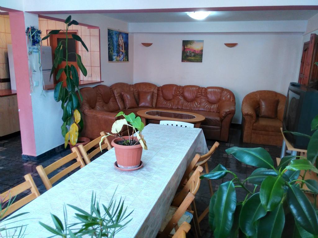 Vila Marcela Buşteni Chambre photo