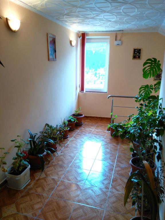 Vila Marcela Buşteni Chambre photo