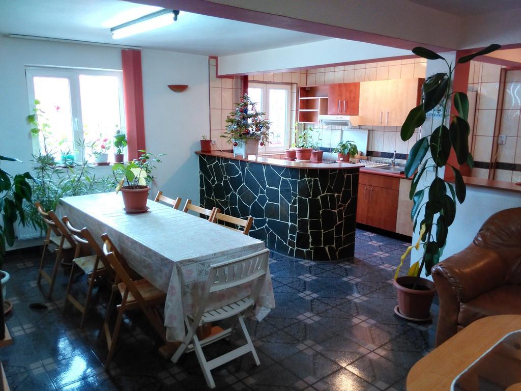 Vila Marcela Buşteni Chambre photo